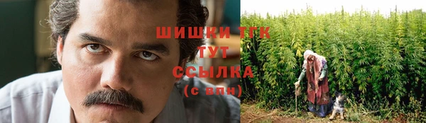 PSILOCYBIN Белоозёрский