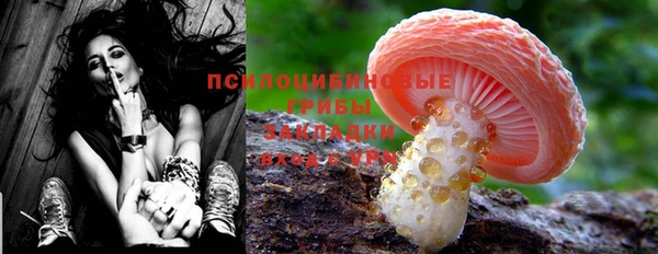 PSILOCYBIN Белоозёрский