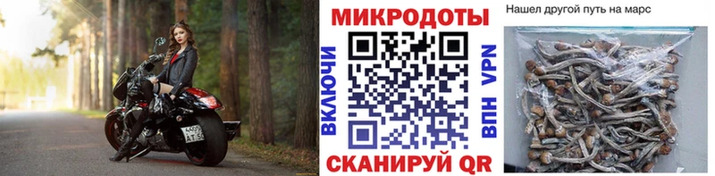 Галлюциногенные грибы GOLDEN TEACHER Острогожск