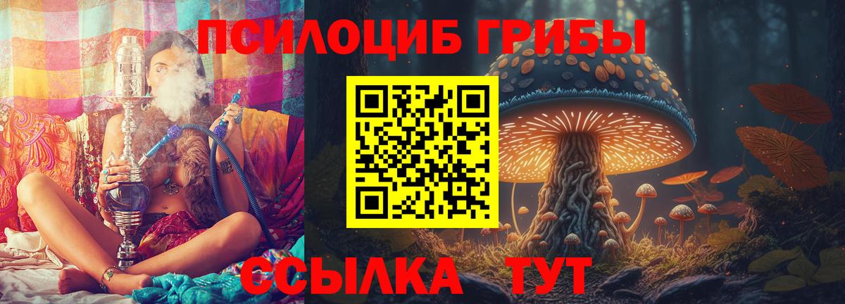 Псилоцибиновые грибы MAGIC MUSHROOMS  Галлюциногенные грибы Magic Shrooms  Вход с VPN  Острогожск 